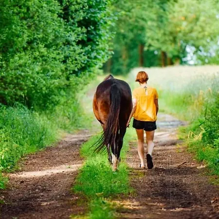 Echoppe Ancienne Boutique De Cordonnier Avec Jardin Prive Apartament Aubeterre-sur-Dronne