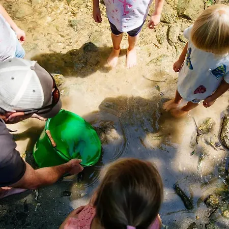 Apartament Echoppe Ancienne Boutique De Cordonnier Avec Jardin Prive *