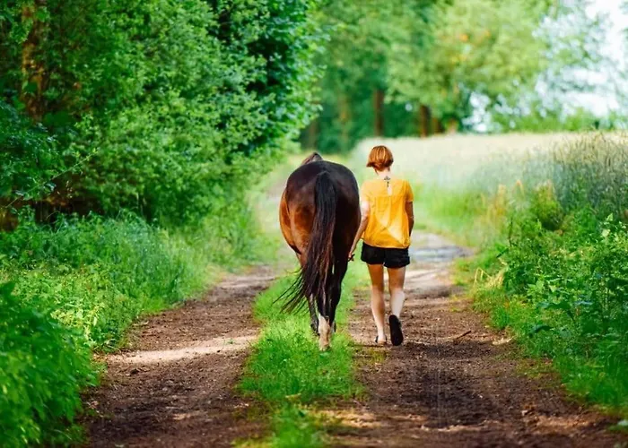 Echoppe Ancienne Boutique De Cordonnier Avec Jardin Privé Apartamento Aubeterre-sur-Dronne