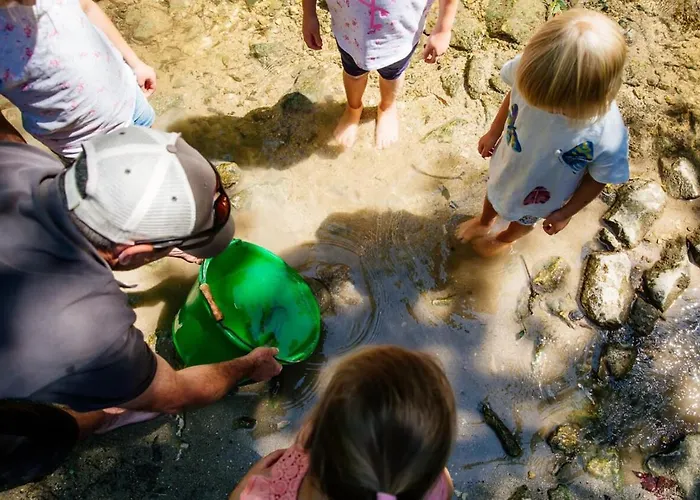 Apartamento Echoppe Ancienne Boutique De Cordonnier Avec Jardin Privé *