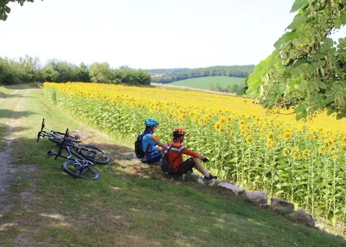 Echoppe Ancienne Boutique De Cordonnier Avec Jardin Privé Apartamento Aubeterre-sur-Dronne