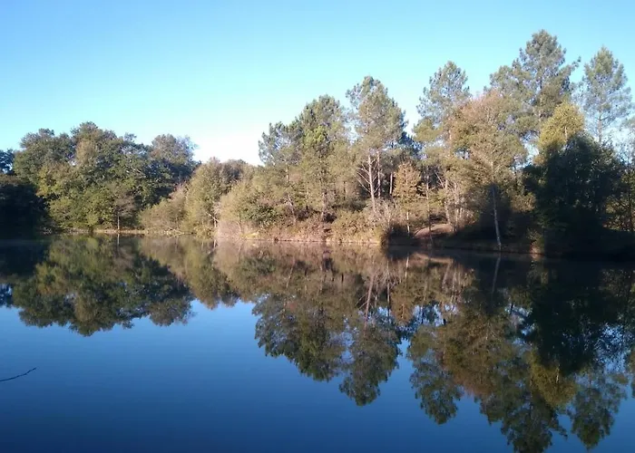 Echoppe Ancienne Boutique De Cordonnier Avec Jardin Privé * Aubeterre-sur-Dronne